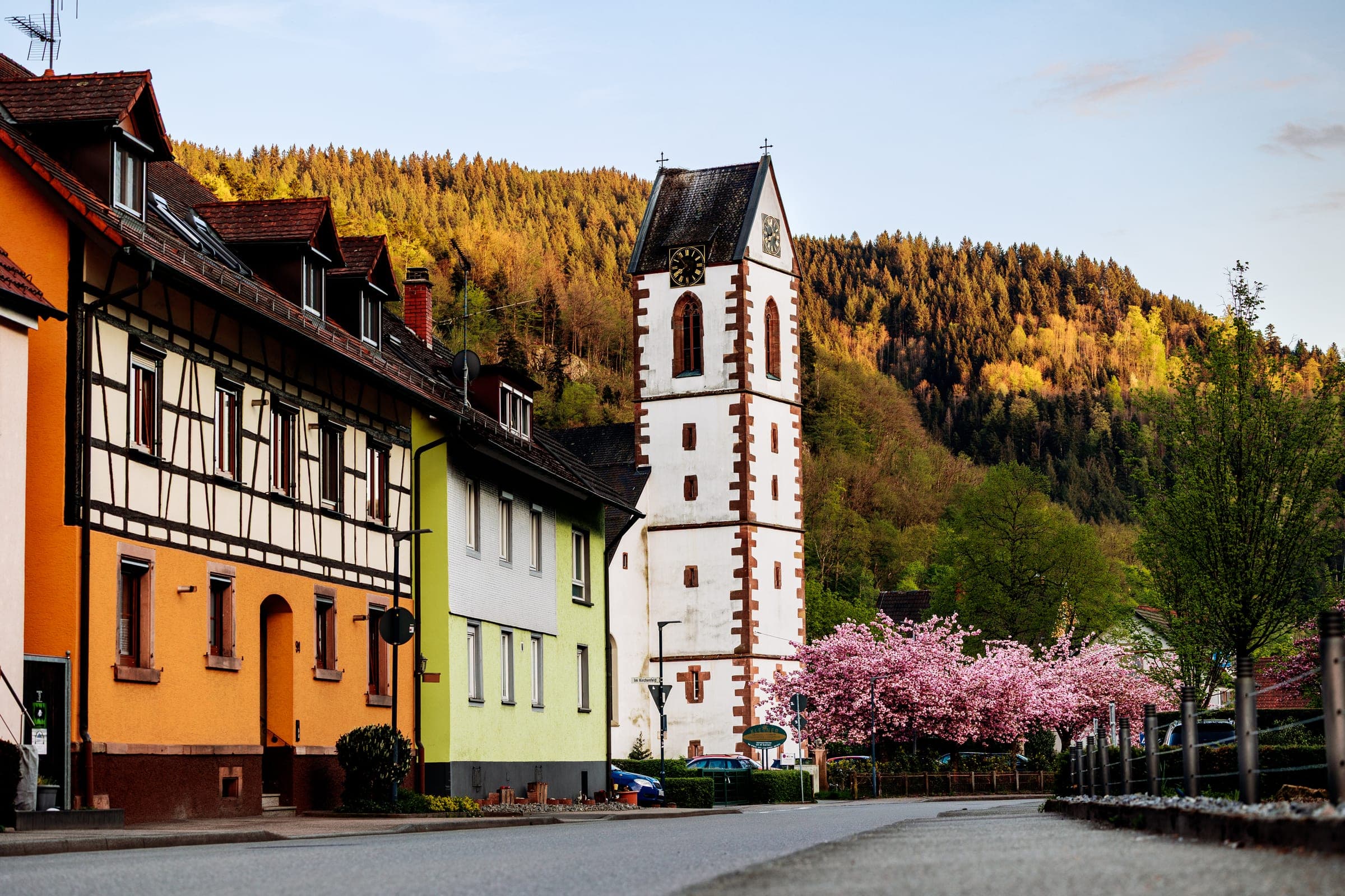 Into the Black Forest
