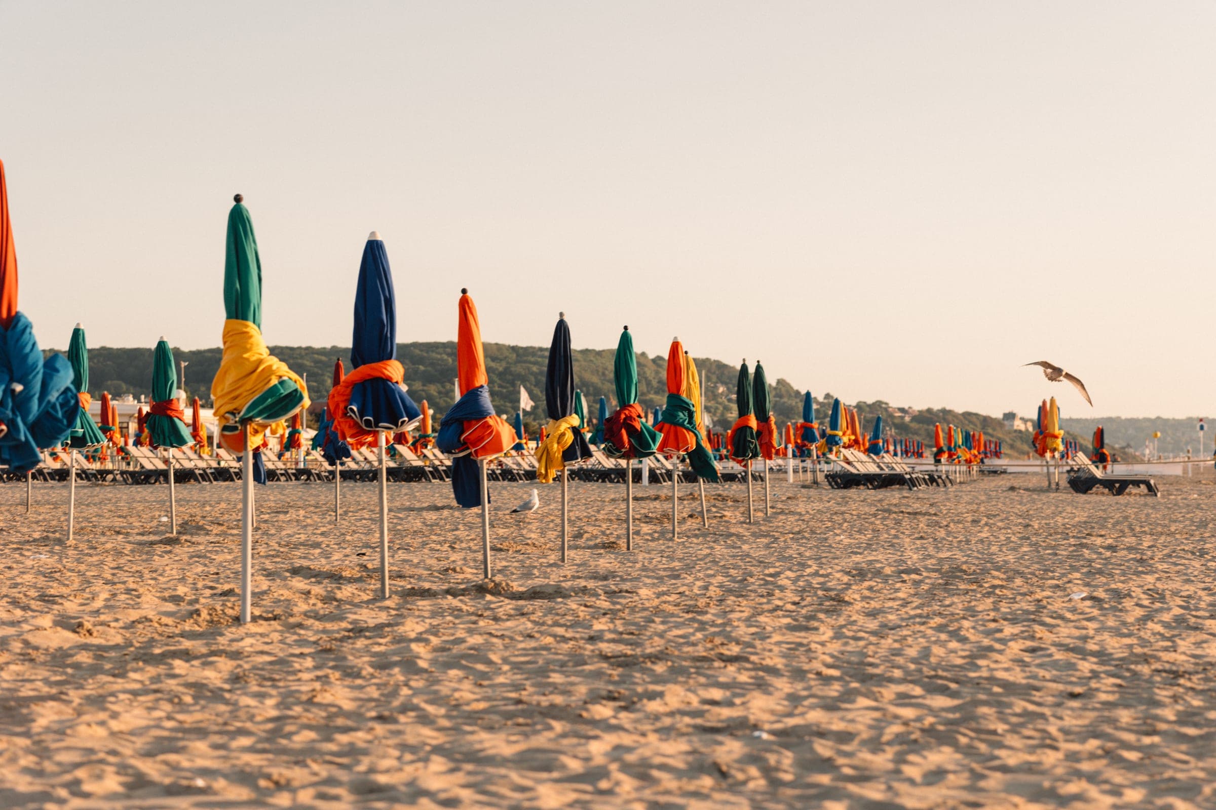 Normandy — photo 7