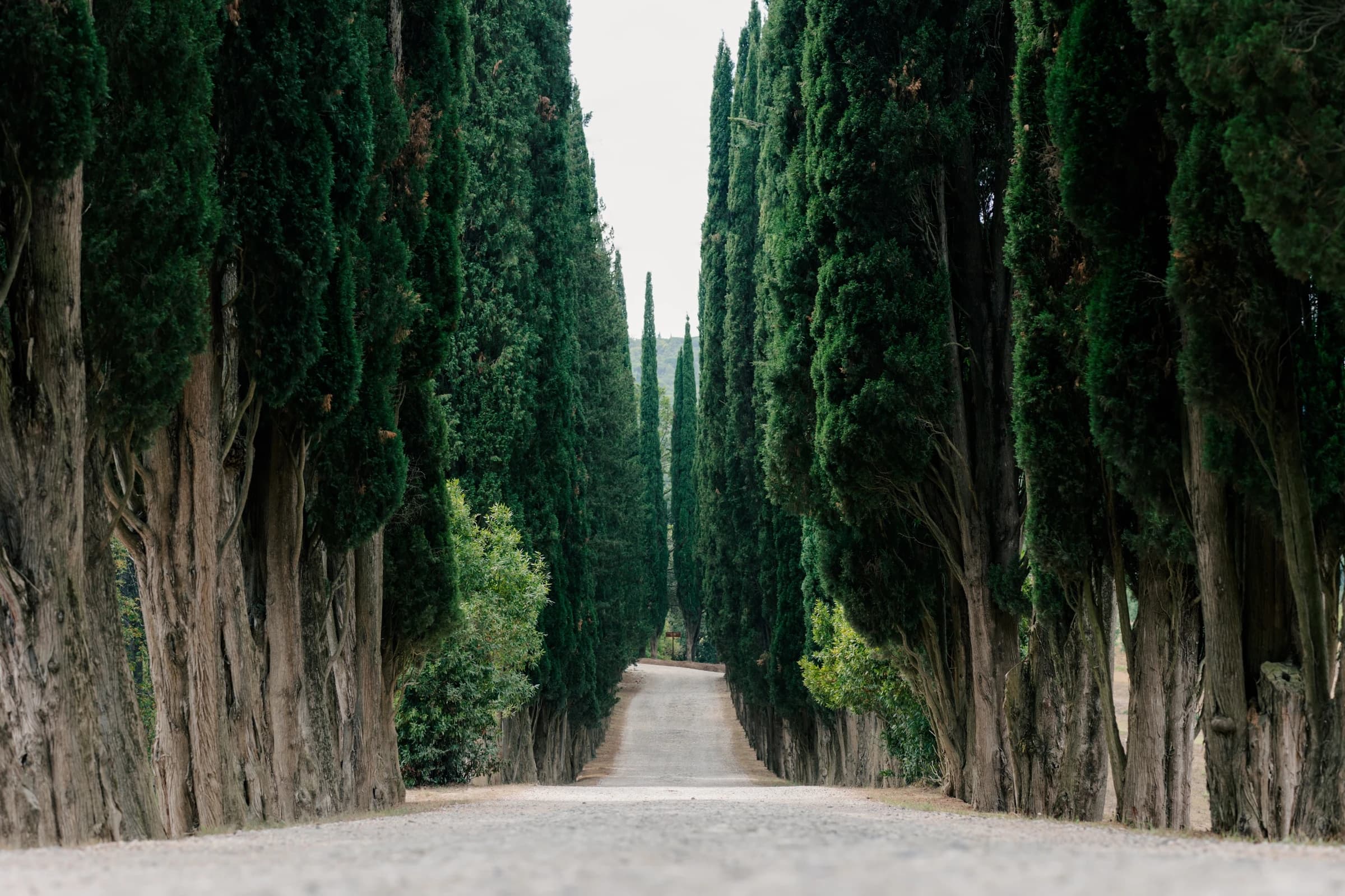 Siena & the Chianti Road - Day 3