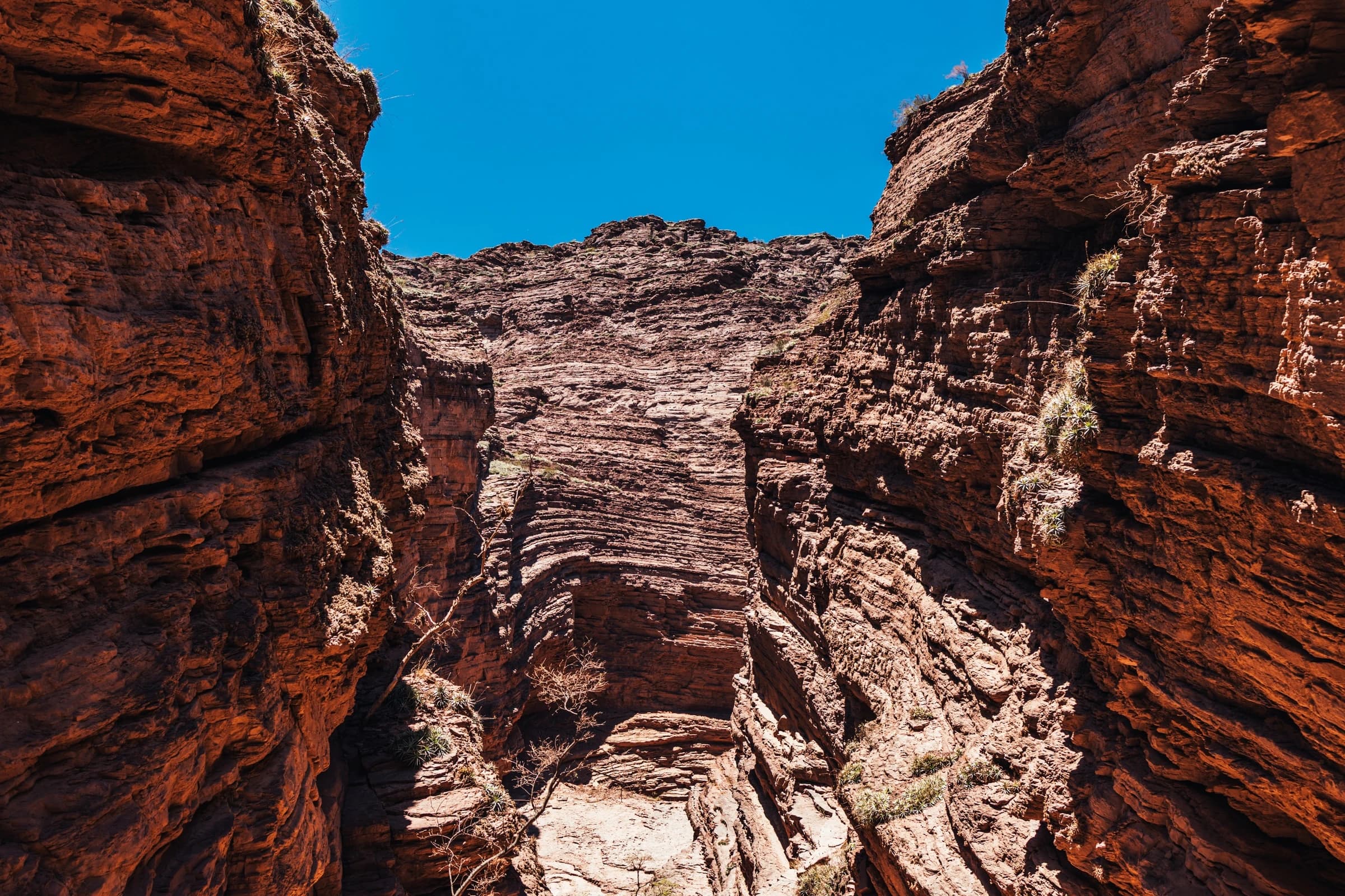 Salta & Cafayate